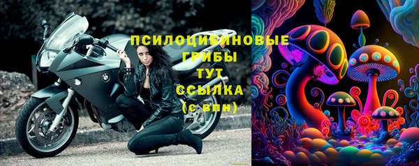 амф Алзамай