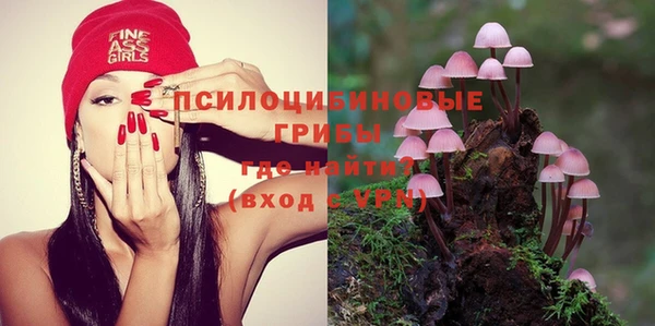 спиды Алексеевка