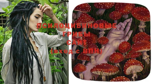 спиды Алексеевка