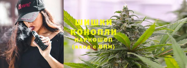 амф Алзамай