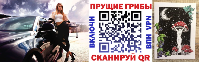 Псилоцибиновые грибы MAGIC MUSHROOMS  купить закладку  Бердск 