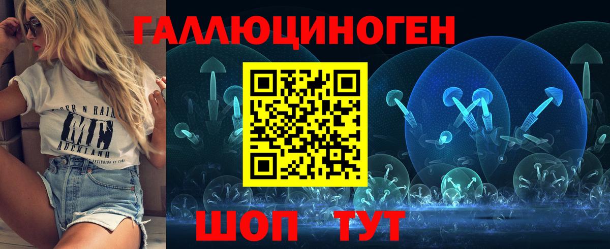 Псилоцибиновые грибы Psilocybe Бердск