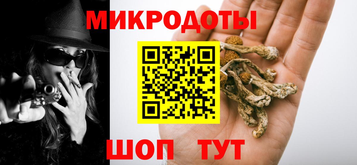 Бердск  Псилоцибиновые грибы мухоморы  Вход с VPN 