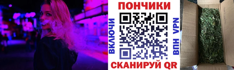 Канабис конопля  Бердск 