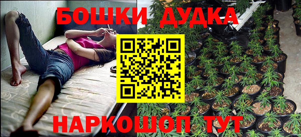 Конопля конопля  Бошки Шишки планчик  Бердск  Вход с VPN 